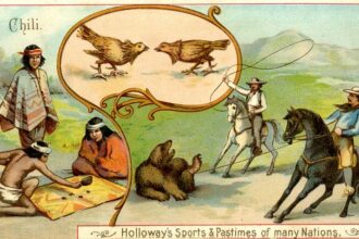 I don't care what Littler thinks of me, says Van Veen