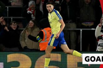 White error as Stewart gives Southampton shock lead over Arsenal