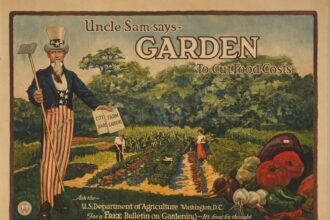 Trade offers for every first-round NFL draft pick: We made deals for J.J. McCarthy, Maxx Crosby