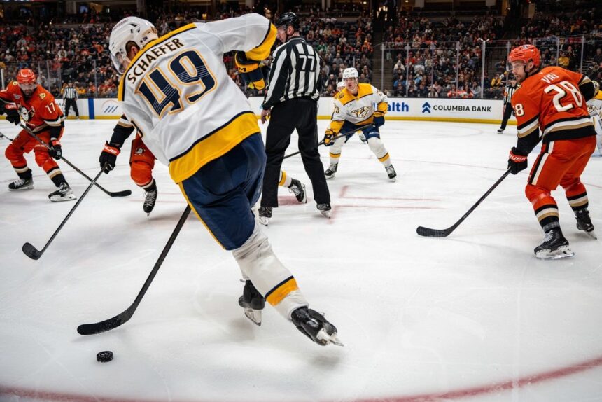 Predators move into playoff position with shut-out win over Ducks