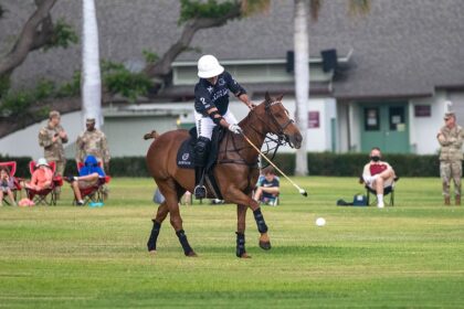 'Point of no return' - Can Humphries kickstart PL defence in Brighton?