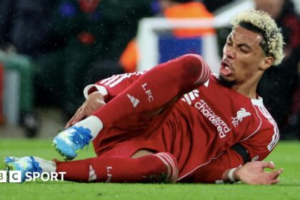 Ekitike to miss rest of season and World Cup with ruptured Achilles