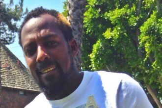 Vladimir Guerrero Jr. powers Blue Jays to victory over Angels