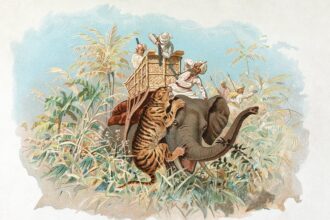 Docherty: Charlton must improve home record to steer clear of relegation fight