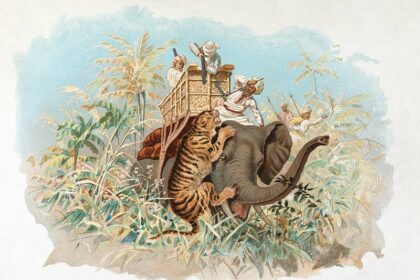 Docherty: Charlton must improve home record to steer clear of relegation fight