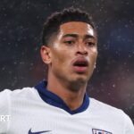 Bellingham invests in Birmingham Hundred franchise