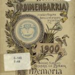 Papers: Iraola among leading candidates to succeed Rosenior at Chelsea