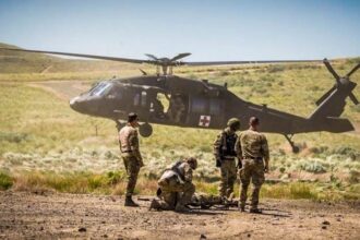 McDermott: Gap to Australia bridgeable, World Cup winnable