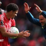 Gibbs-White's month to prove World Cup worth