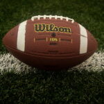 Concussion Sub for shoulder injury? MI explain debatable Mitchell Santner call