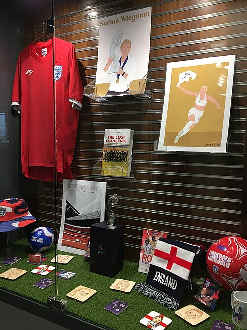 Who will make England's Women's T20 World Cup squad?