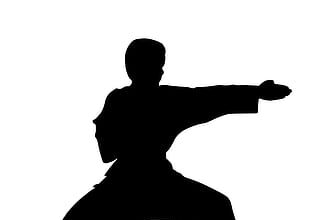 DC sets 1M attendance goal for '27 NFL Draft