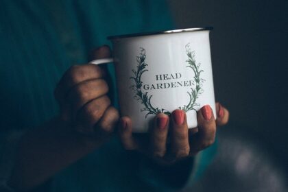 13 for 6: Delhi Capitals record worst-ever powerplay in IPL history