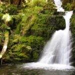 'It should be banned!' - Why O'Sullivan's chalk is 'hated' by snooker players