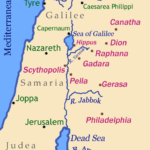 Pels' Jordan voted NBA's teammate of the year