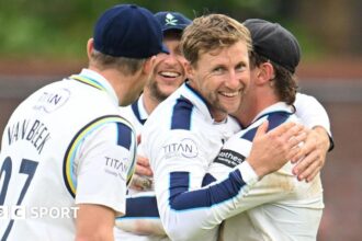 Root takes four wickets as Yorkshire beat Somerset