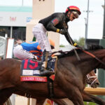 Kentucky Derby winner Golden Tempo is not running in the Preakness