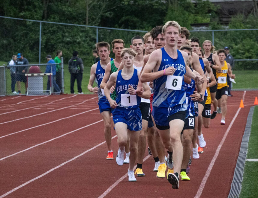 Vote now for Lebanon County's Athletes of the Week, May 3-9