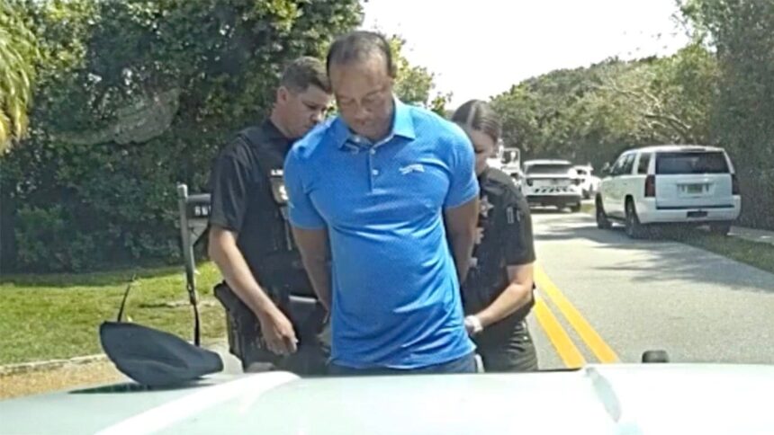 Florida judge rules prosecutors can access Tiger Woods' prescription drug history after DUI arrest: