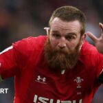 Wales and Scarlets lock Ball retires aged 34