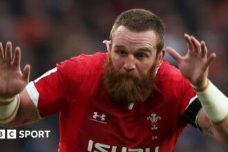 Wales and Scarlets lock Ball retires aged 34