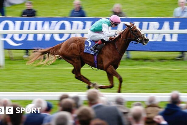 Item makes Epsom Derby case with Dante win