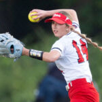 TSSAA softball state tournament 2026 sectional brackets, schedules, scores in Knoxville