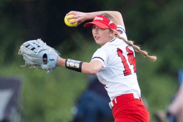 TSSAA softball state tournament 2026 sectional brackets, schedules, scores in Knoxville